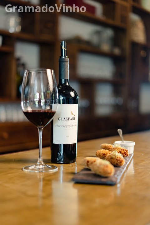 Merlot - Vinícola Antônio Dias